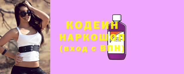 хмурый Михайловск